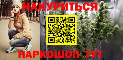 трава Сланцы