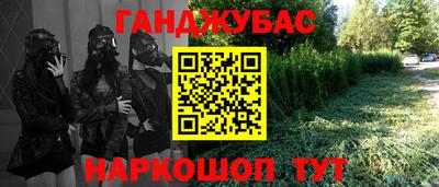трава Сланцы