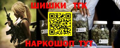 трава Сланцы