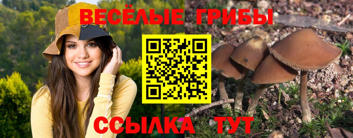 Бошки Шишки  Вход с VPN  MDMA  Alpha PVP СОЛЬ кристаллы  Сибай  Кодеин  Экстази  COCAIN  ГАШ  МЕФ  