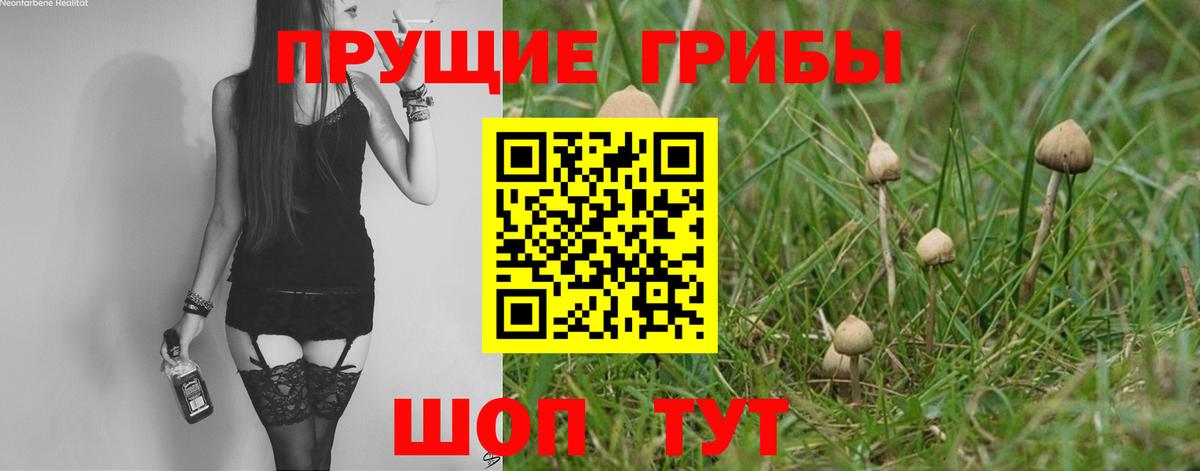 Сибай  МДМА  Меф кристаллы  ГАШИШ  Канабис  A PVP СК   Меф кристаллы 