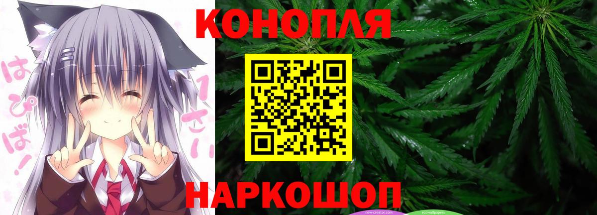 Бошки марихуана планчик  Сибай  МАРИХУАНА SATIVA & INDICA  Конопля план 